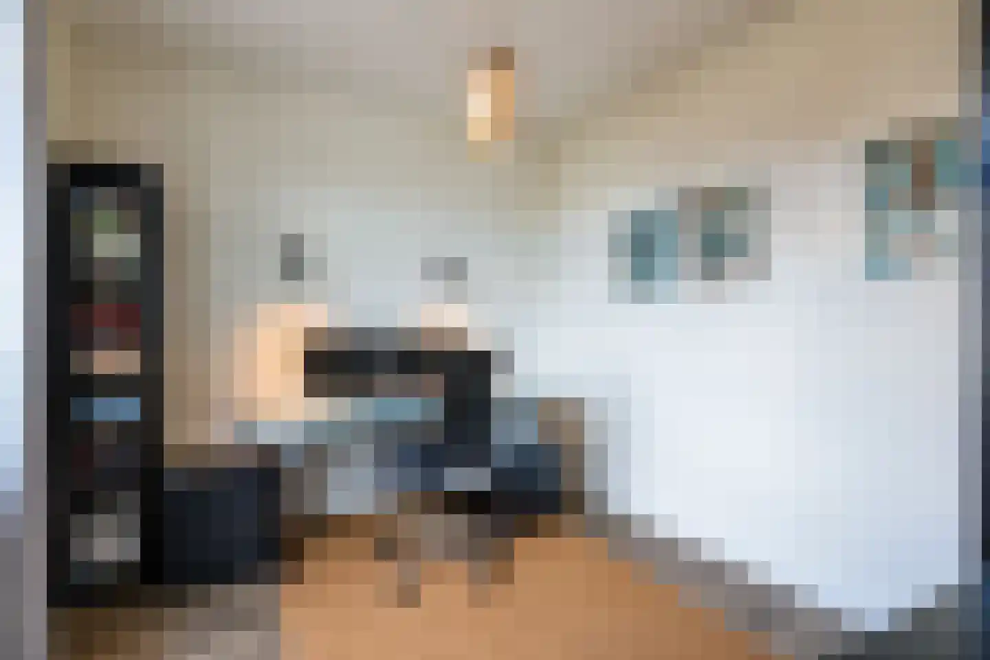 Hoogaers 3 Urmond thumbnail 24