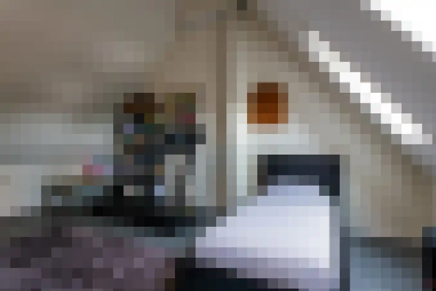 Hoogaers 3 Urmond thumbnail 33