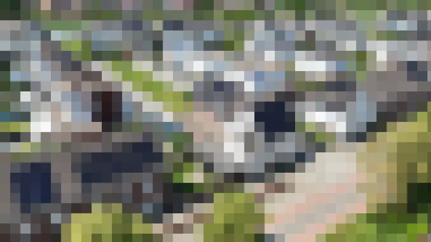 Hoogaers 3 Urmond thumbnail 33