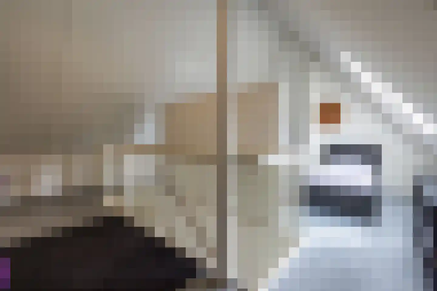 Hoogaers 3 Urmond thumbnail 37