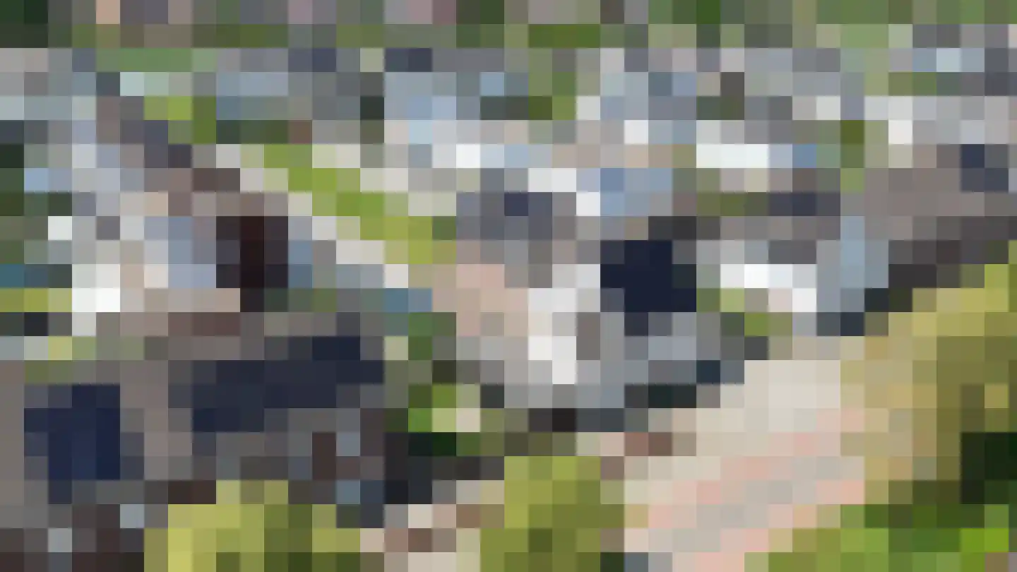 Hoogaers 3 Urmond thumbnail 51