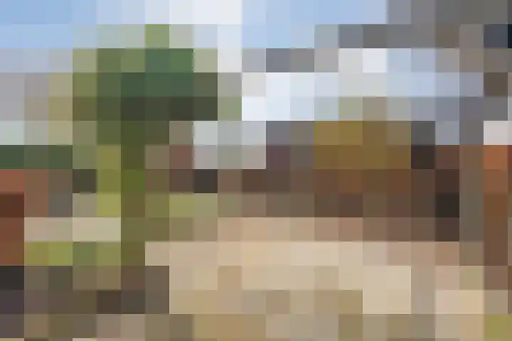 Hoogakker 14 Milheeze thumbnail 13