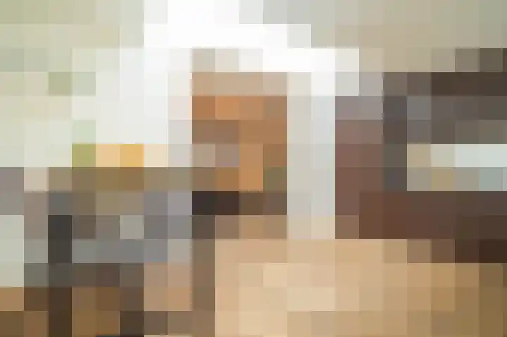 Hoogakker 14 Milheeze thumbnail 17