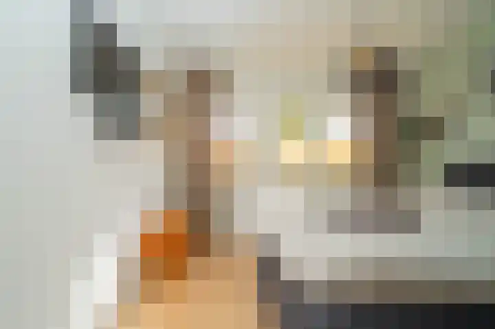 Hoogakker 14 Milheeze thumbnail 23