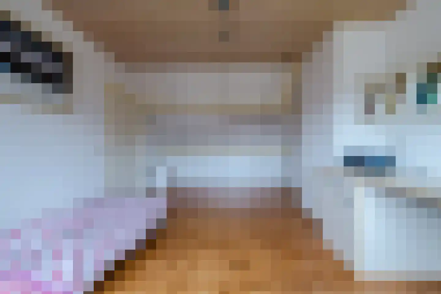 Hoogakker 14 Milheeze thumbnail 4
