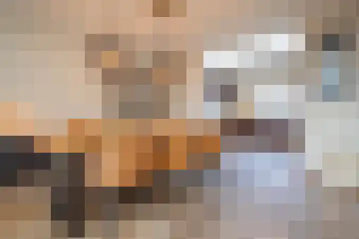 Hoogakker 14 Milheeze thumbnail 5