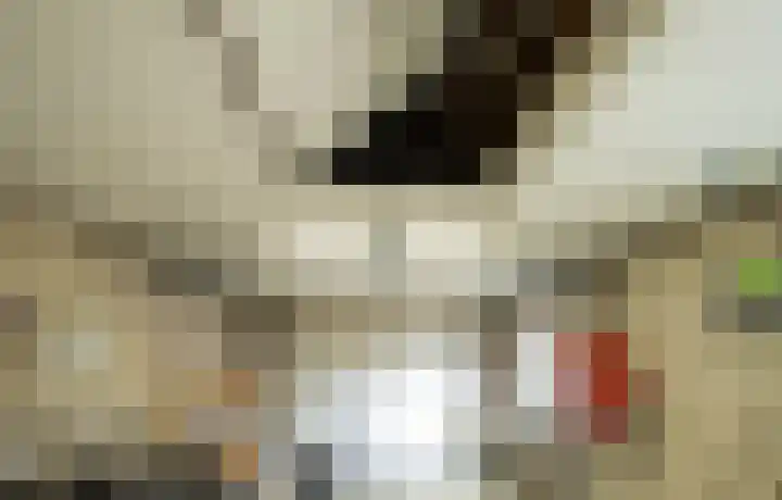 Hoogakker 14 Milheeze thumbnail 50