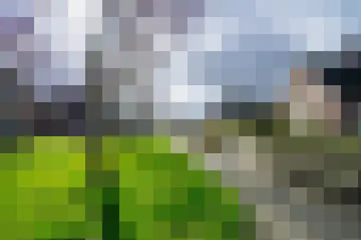 Hoogakker 14 Milheeze thumbnail 53