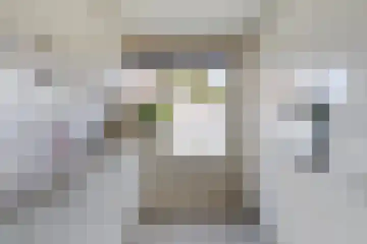 Hoogakker 14 Milheeze thumbnail 55