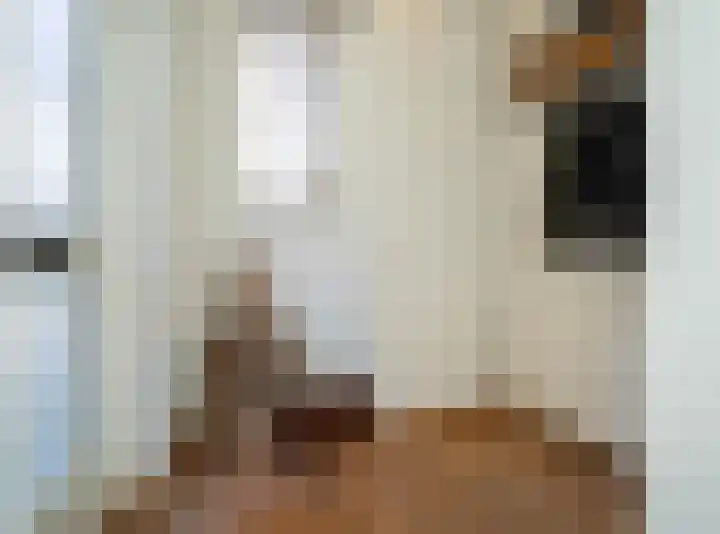 Hoogakker 14 Milheeze thumbnail 7