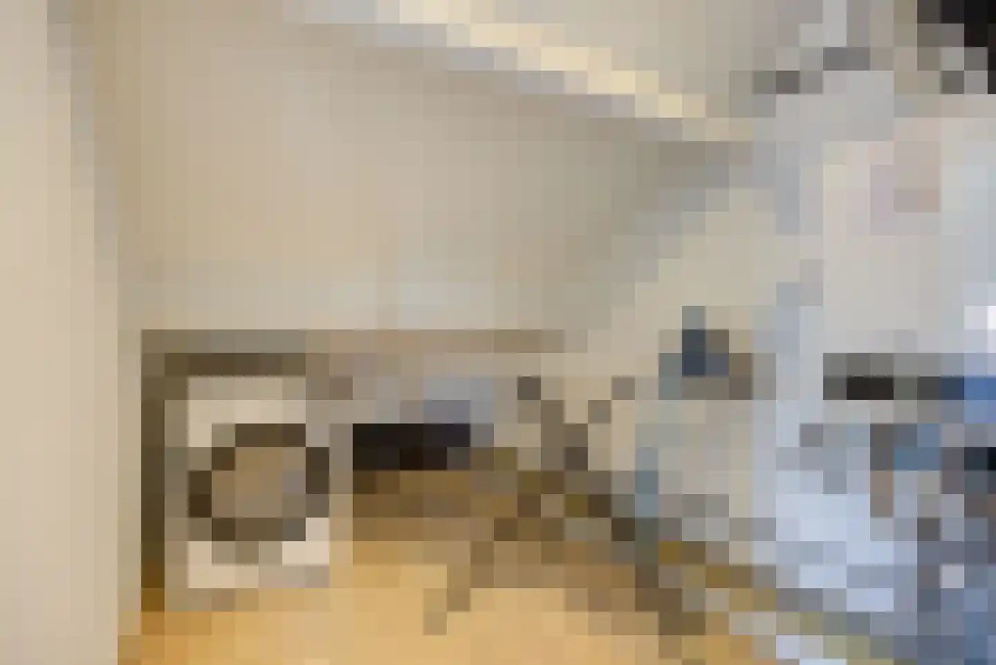Hoogakker 19 Sprundel thumbnail 32