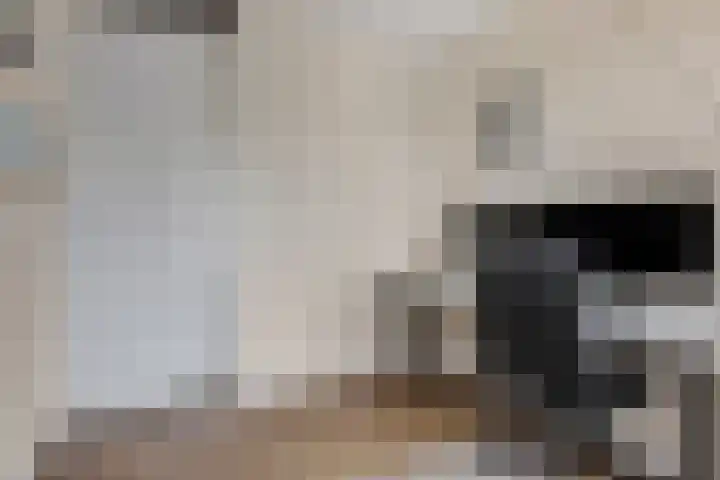 Hoogakker 2 E Bennekom thumbnail 19