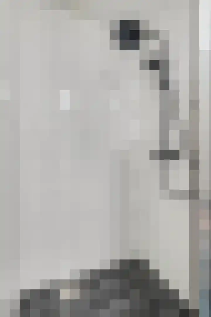 Hoogakker 2 E Bennekom thumbnail 22