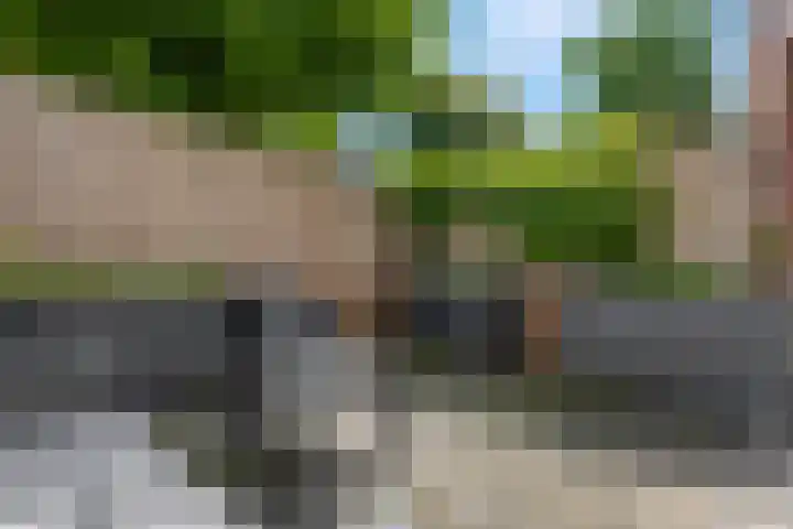 Hoogakker 2 E Bennekom thumbnail 27