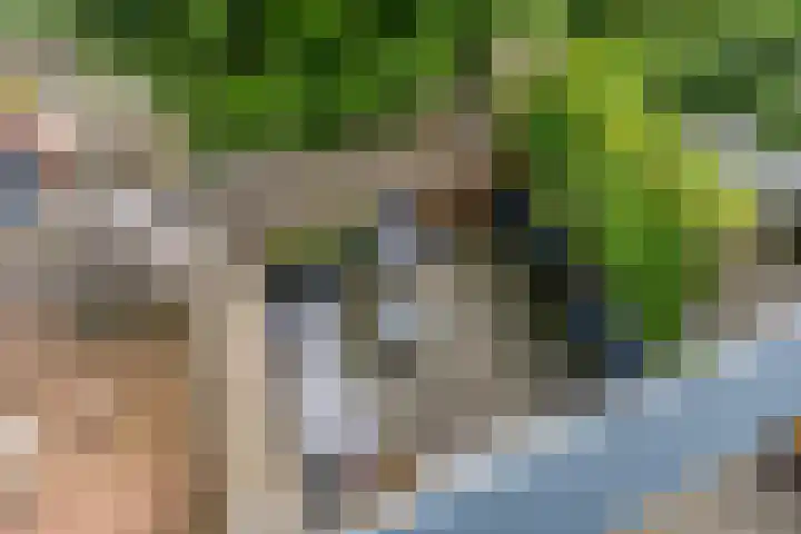 Hoogakker 2 E Bennekom thumbnail 31