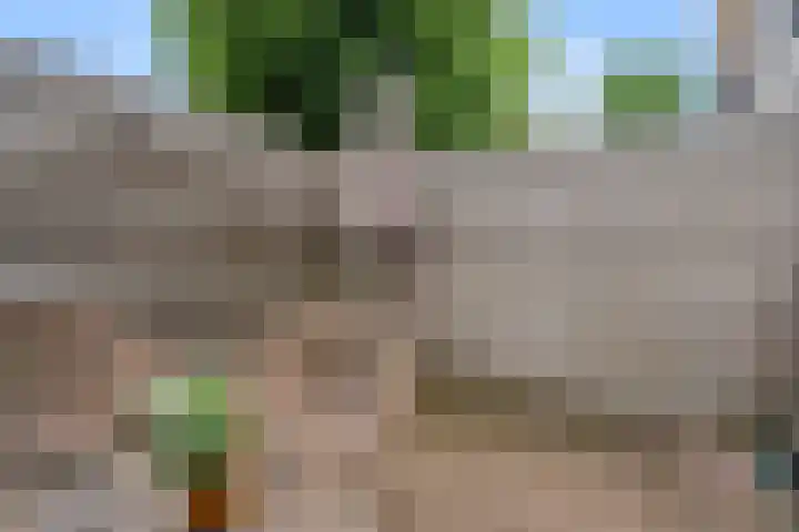 Hoogakker 2 F Bennekom thumbnail 11