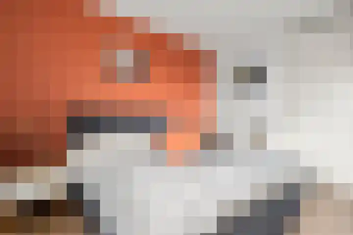 Hoogakker 2 F Bennekom thumbnail 26