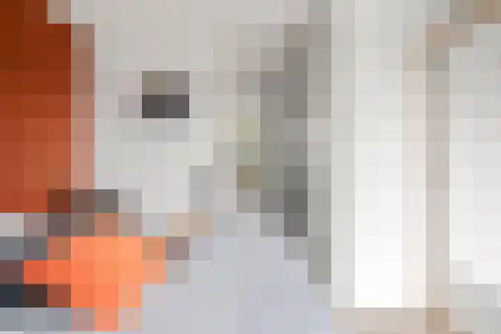 Hoogakker 2 F Bennekom thumbnail 27