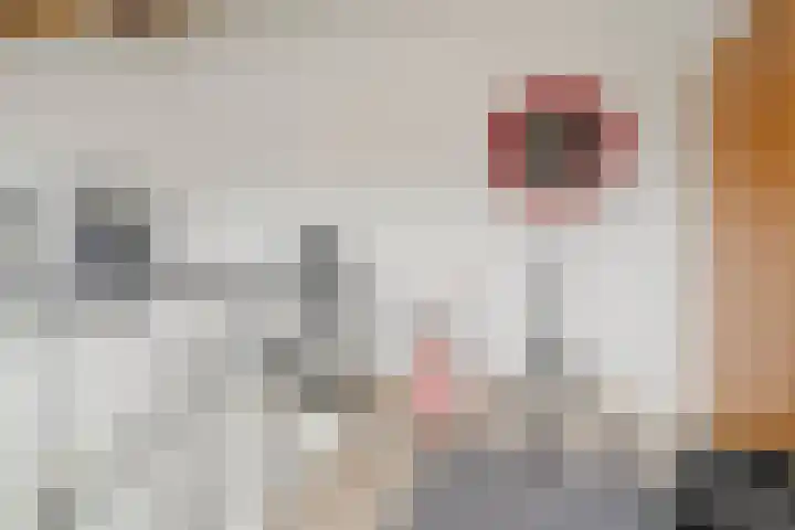Hoogakker 2 F Bennekom thumbnail 29