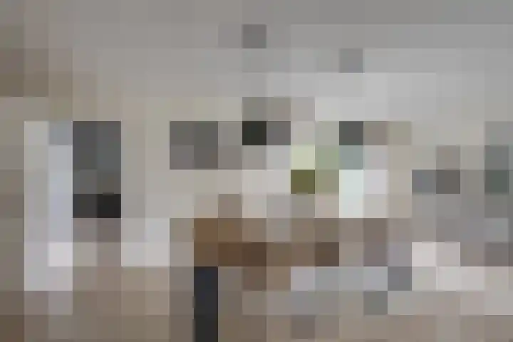 Hoogakker 6 Sprundel thumbnail 11