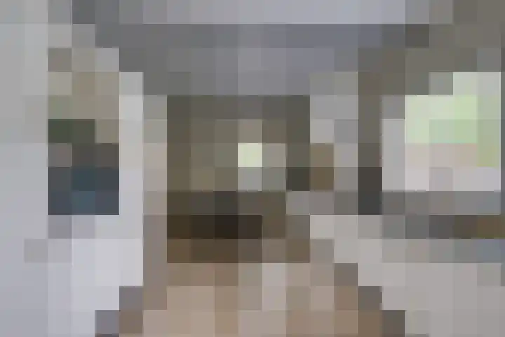 Hoogakker 6 Sprundel thumbnail 14