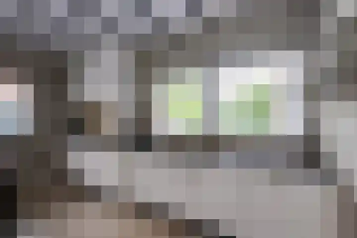 Hoogakker 6 Sprundel thumbnail 15