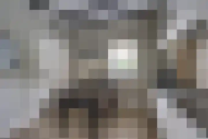 Hoogakker 6 Sprundel thumbnail 16