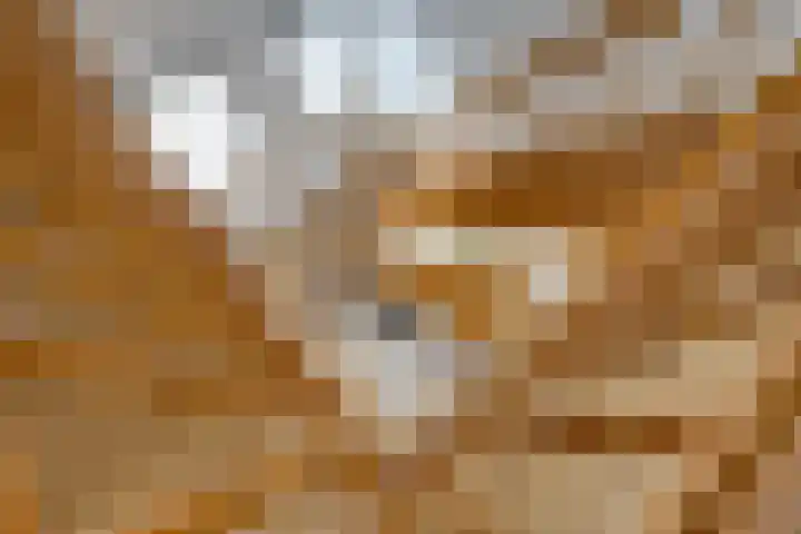 Hoogakker 6 Sprundel thumbnail 18