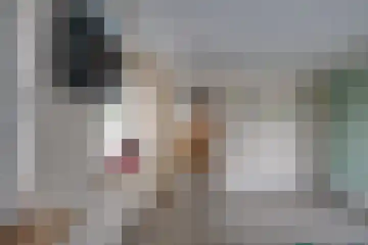 Hoogakker 6 Sprundel thumbnail 20