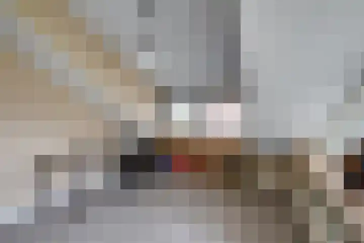 Hoogakker 6 Sprundel thumbnail 24