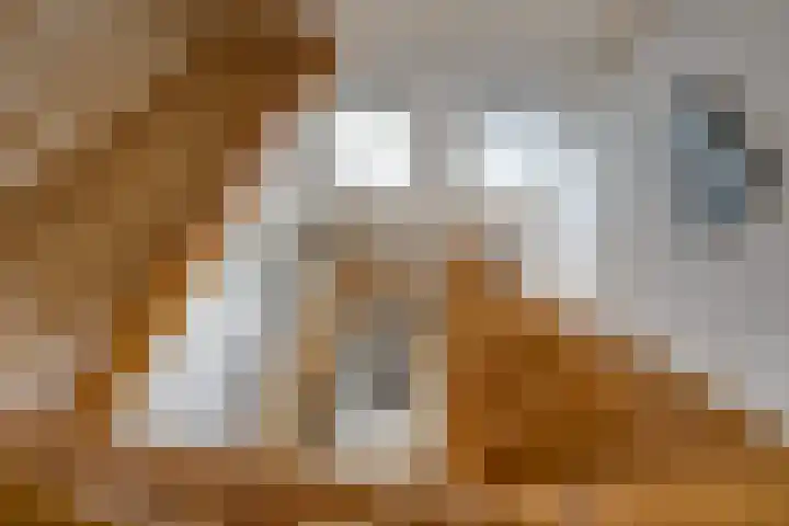 Hoogakker 6 Sprundel thumbnail 29
