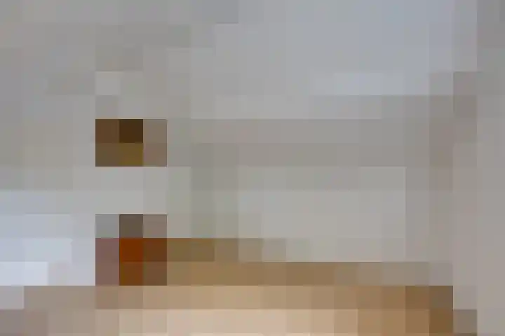 Hoogakker 6 Sprundel thumbnail 31