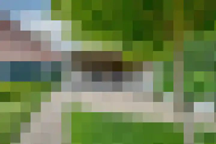 Hoogakker 6 Sprundel thumbnail 34
