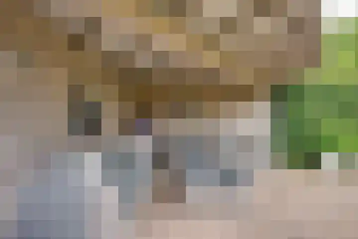 Hoogakker 6 Sprundel thumbnail 36