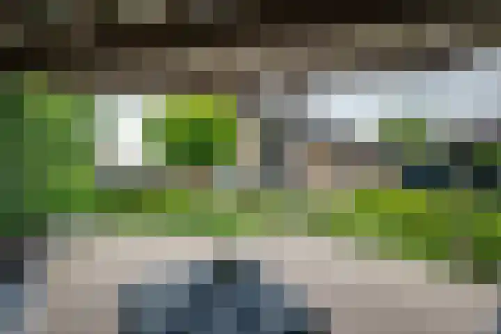 Hoogakker 6 Sprundel thumbnail 37