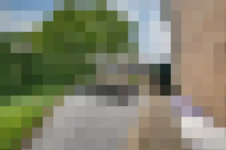 Hoogakker 6 Sprundel thumbnail 39