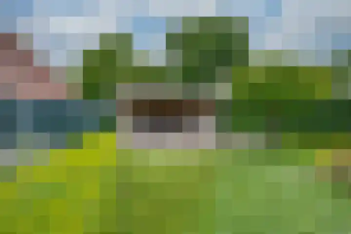 Hoogakker 6 Sprundel thumbnail 42