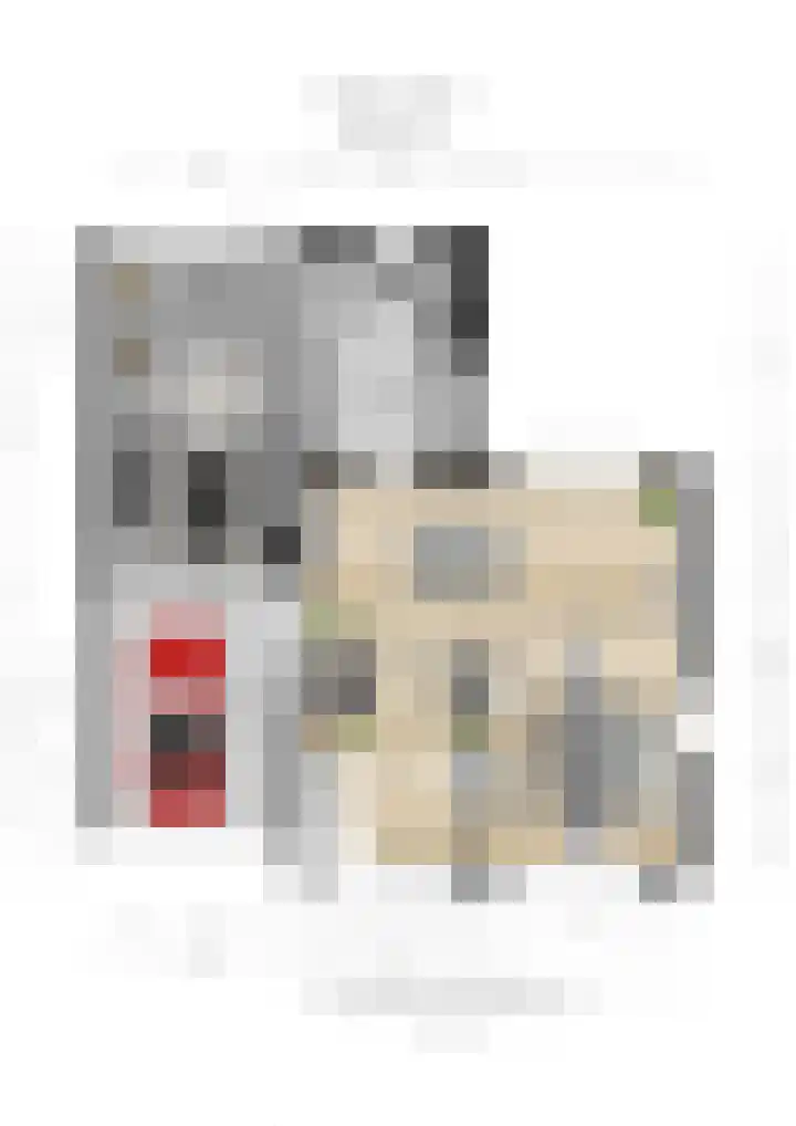 Hoogakker 6 Sprundel thumbnail 44