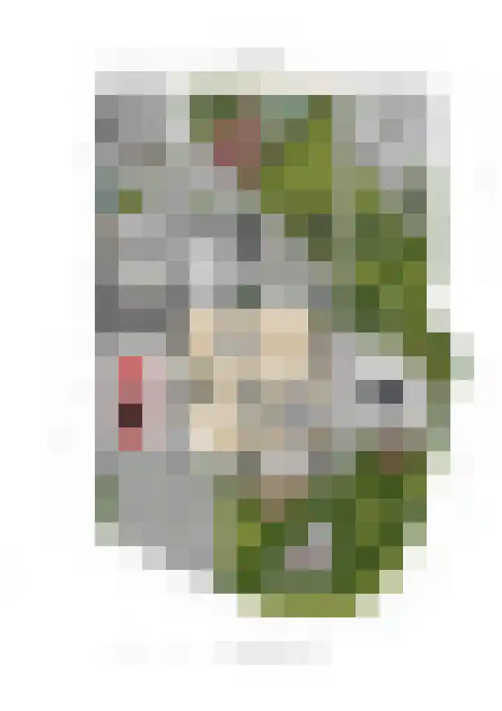 Hoogakker 6 Sprundel thumbnail 52