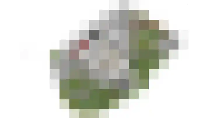 Hoogakker 6 Sprundel thumbnail 53