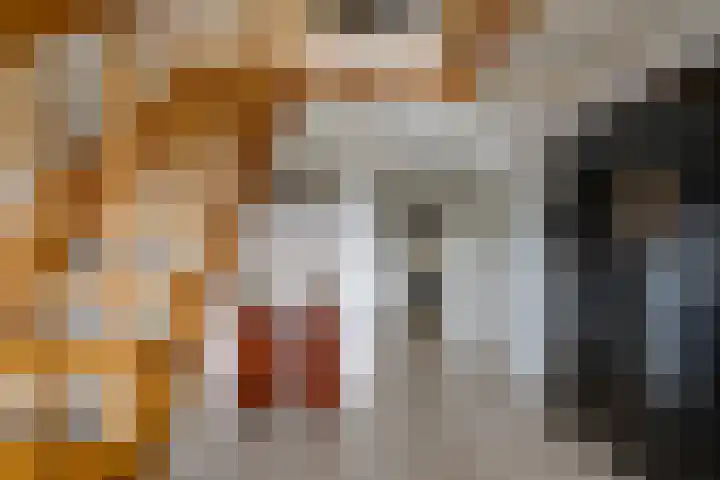 Hoogakker 6 Sprundel thumbnail 6