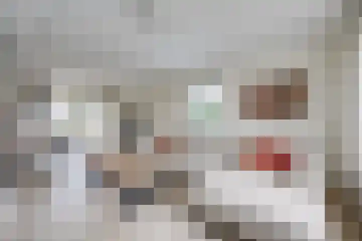 Hoogakker 6 Sprundel thumbnail 9