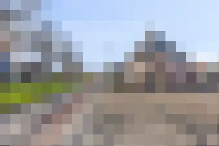 Hoogakkerlaan 1 Apeldoorn thumbnail 24