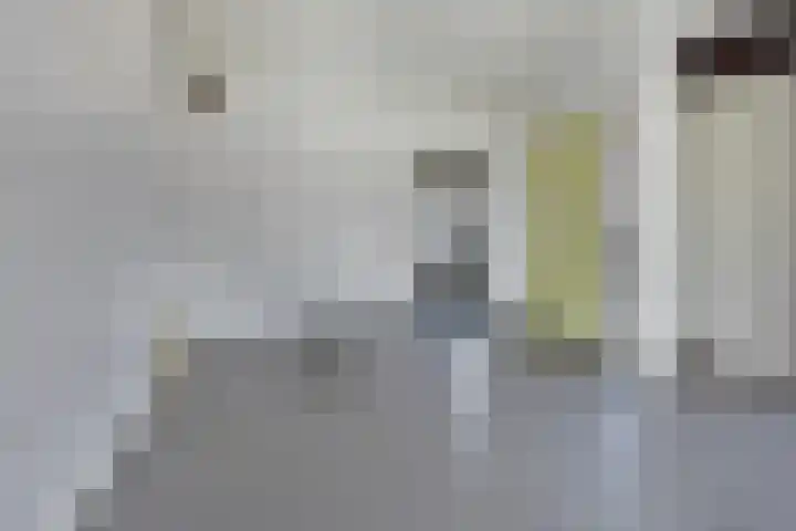 Hoogakkerlaan 1 Apeldoorn thumbnail 9