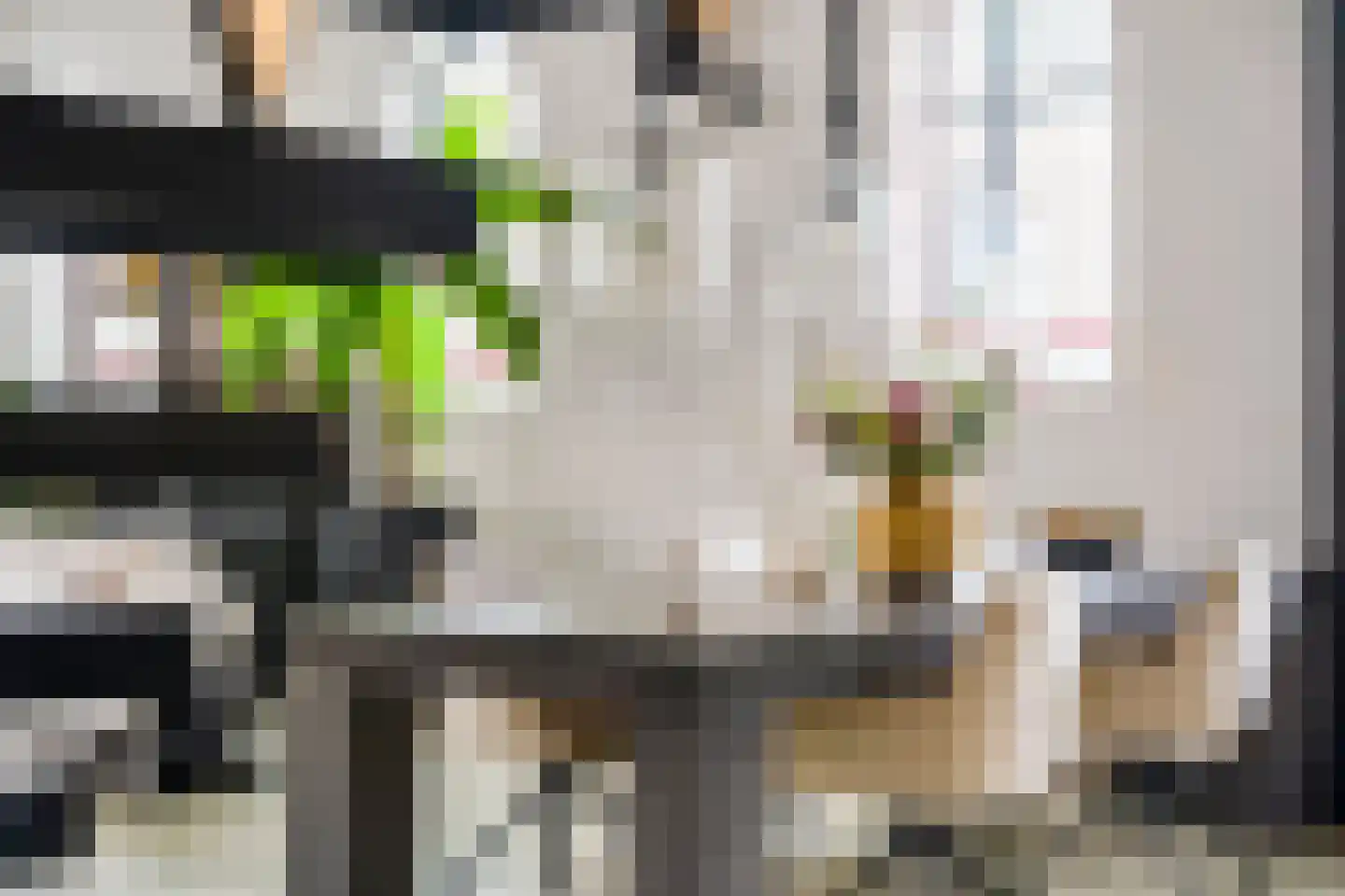 Hoogakkerlaan 50 Apeldoorn thumbnail 14