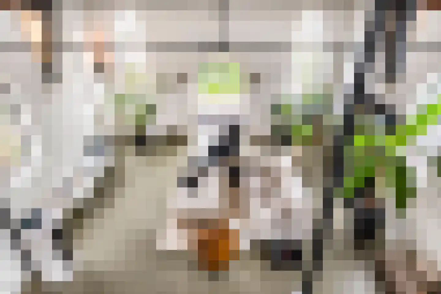 Hoogakkerlaan 50 Apeldoorn thumbnail 35