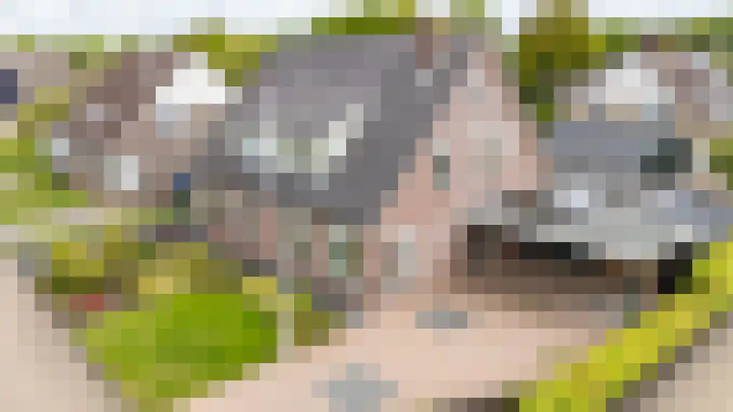 Hoogakkers 4 in Eext