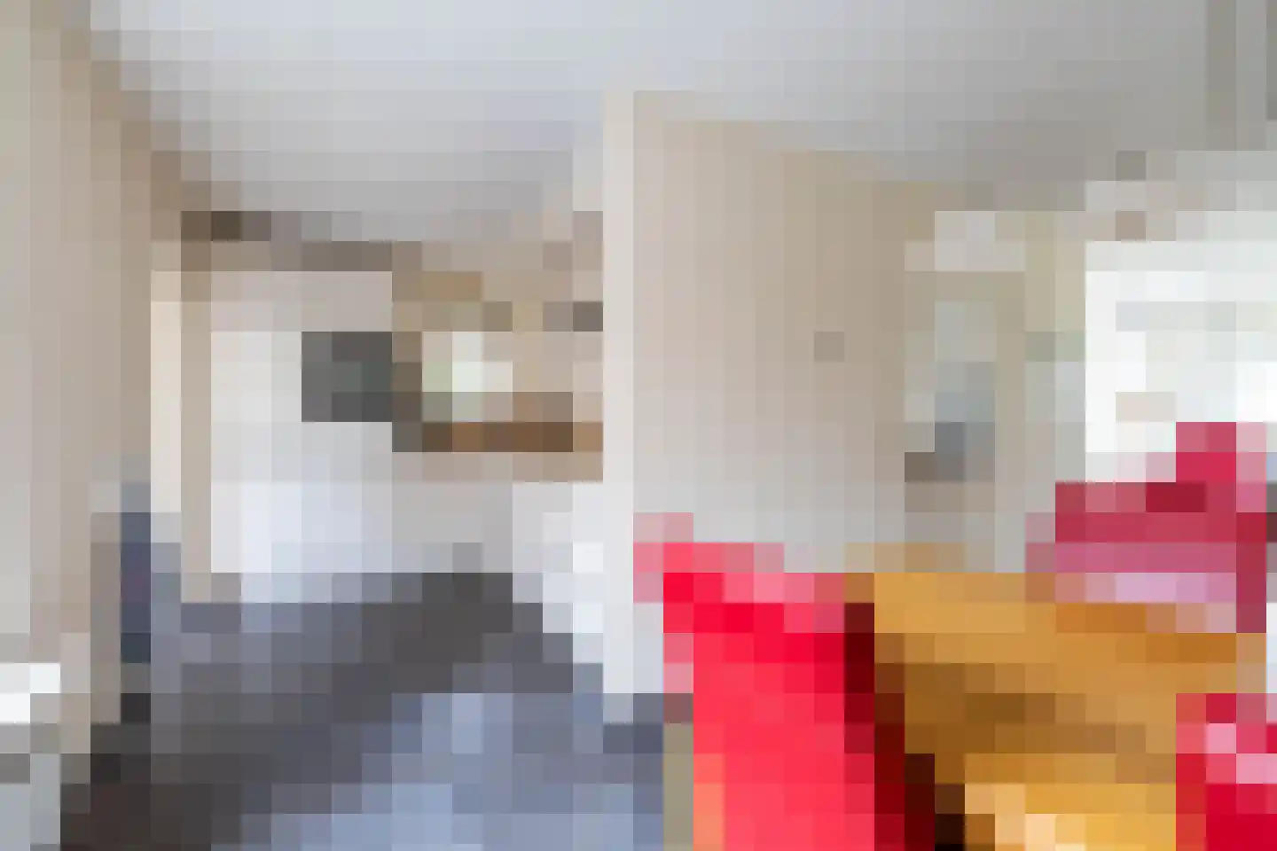 Hoogakkers 4 Eext thumbnail 12
