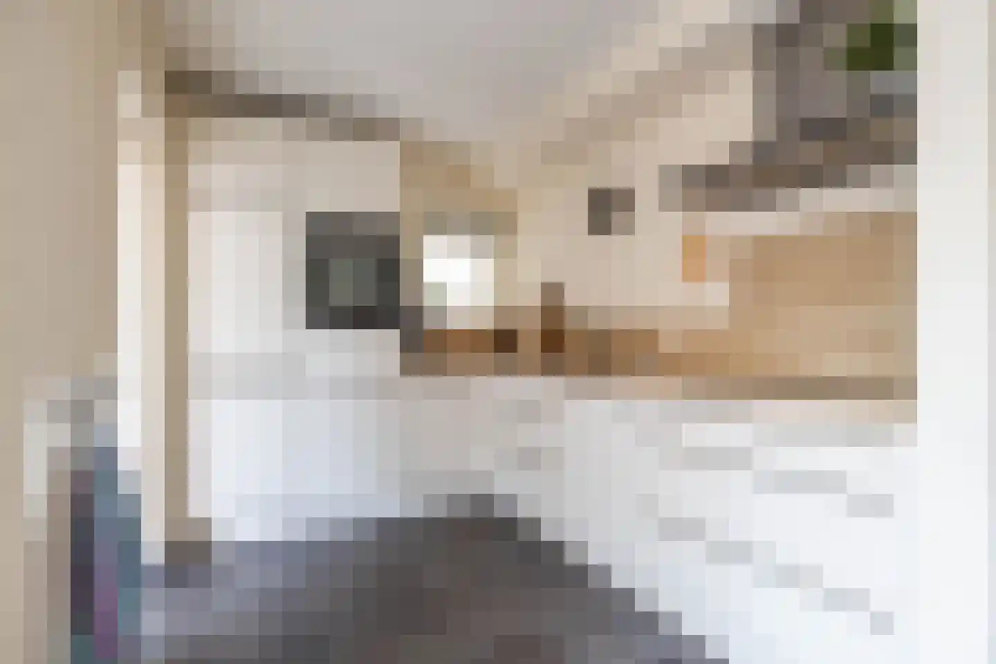Hoogakkers 4 Eext thumbnail 13