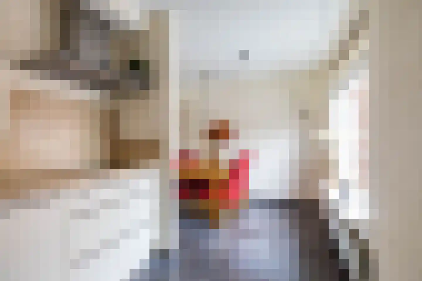 Hoogakkers 4 Eext thumbnail 15